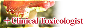 ＋Clinical Toxicologist